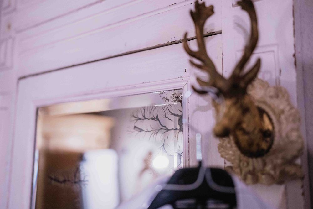 Decorative mounted deer antlers on a white wall in an interior space.