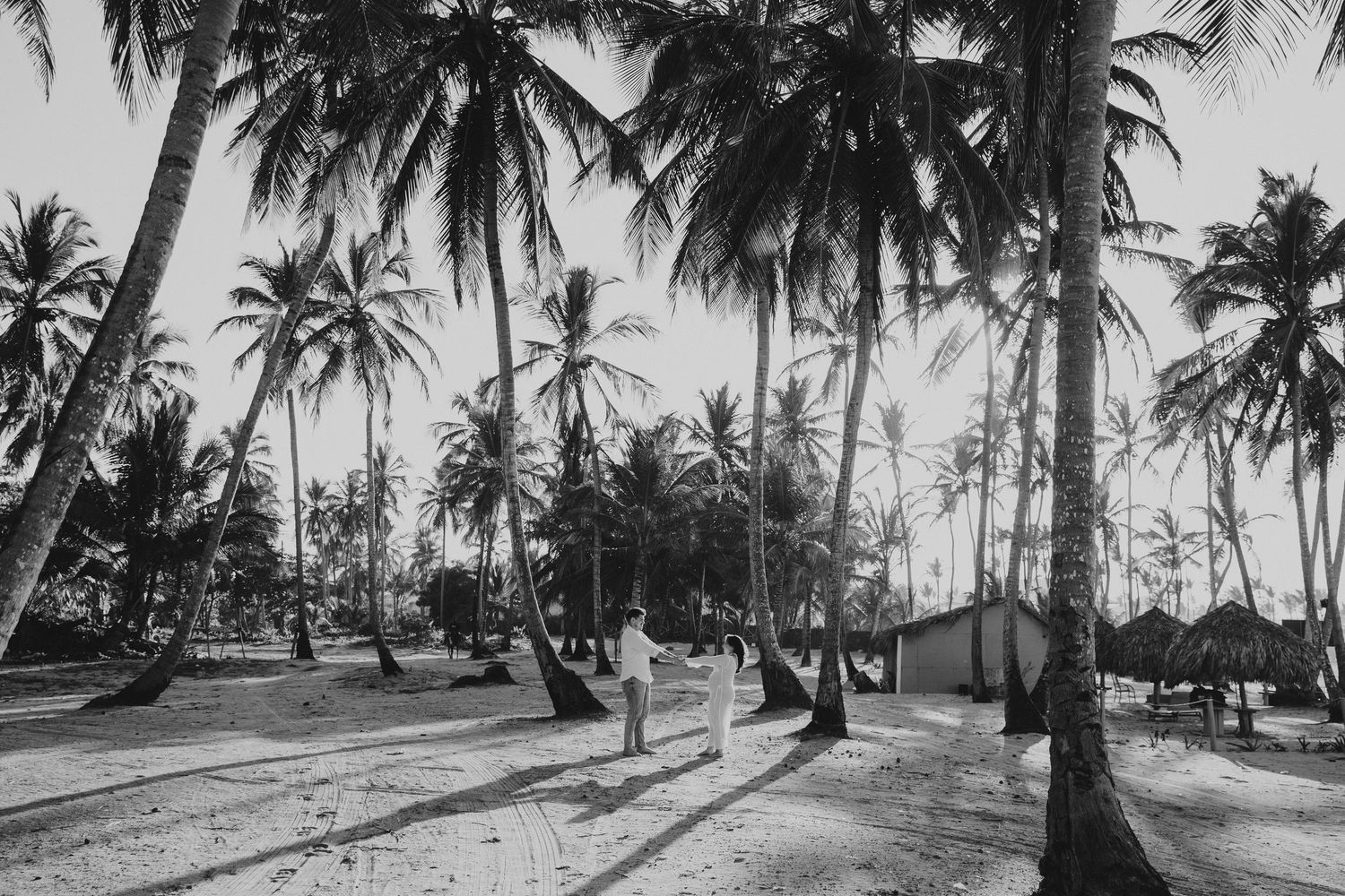 Black and white vintage photo of palm trees and beach huts on a tropical shore.