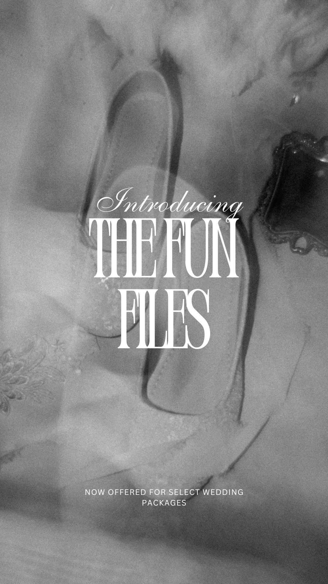 Stylish black and white promotional image reading 'Introducing The Fun Files' with an ethereal smoky background.