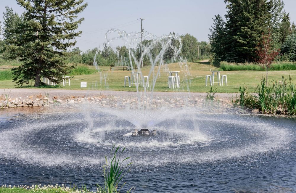 Water fountain creates a circular spray pattern in a landscaped garden pond with evergreen trees in the background.