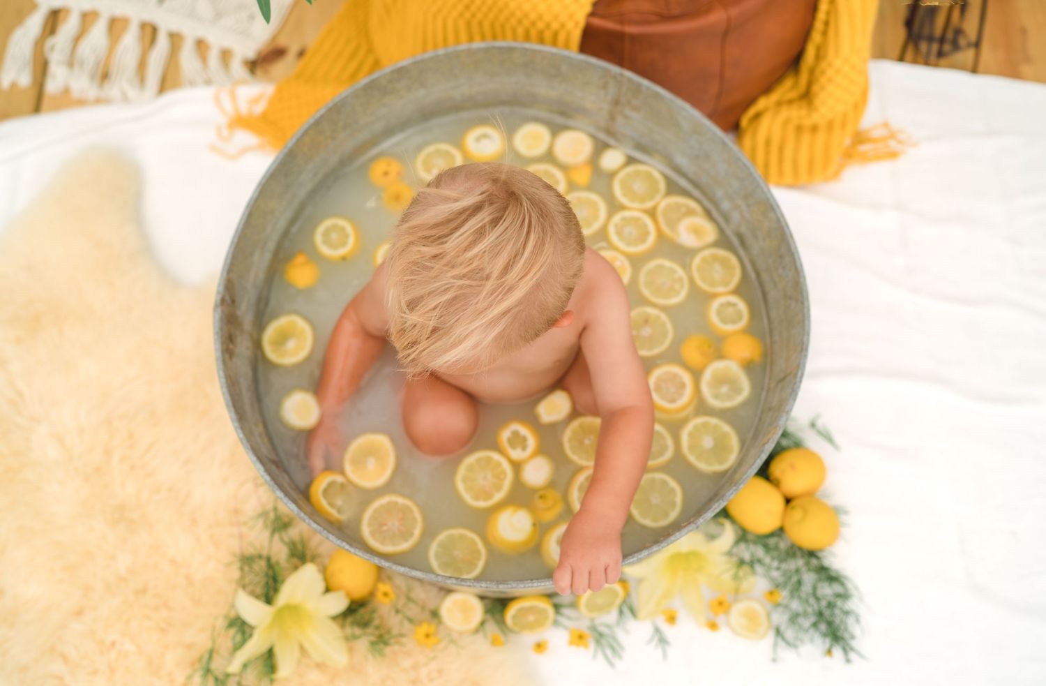 Colorful appetizer plates with sliced citrus garnishes arranged on a rustic wooden surface.