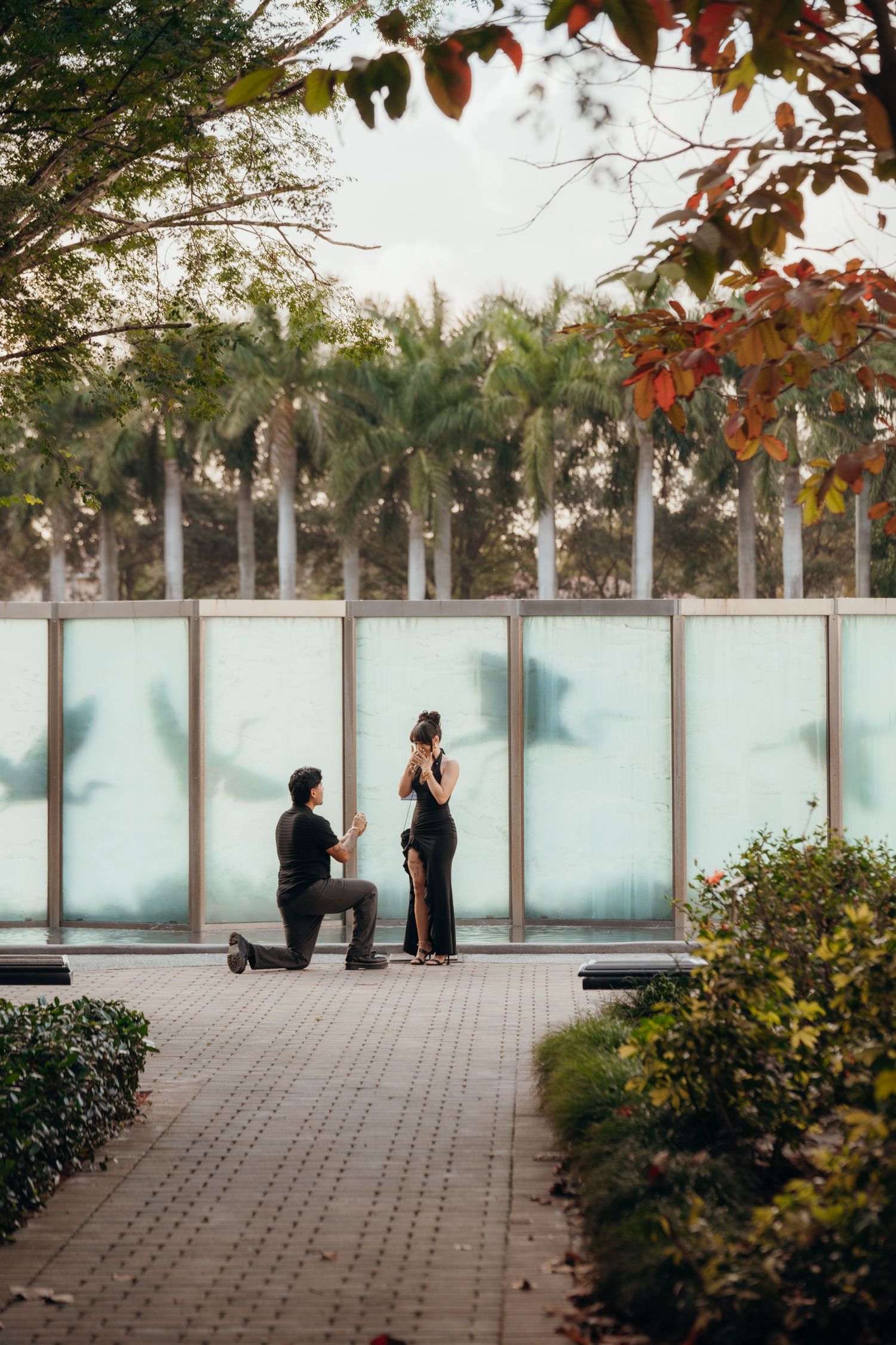 Man kneeling on one knee proposing to woman in black dress in a lush garden with palm trees and water feature backdrop.