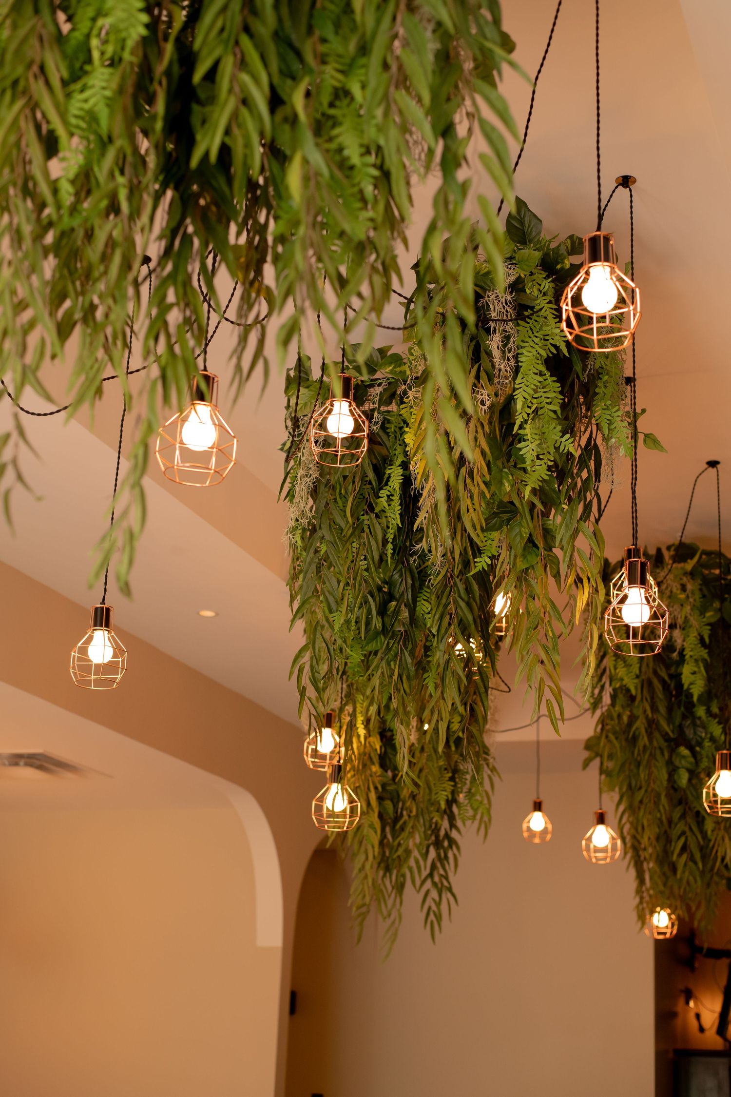Decorative cage pendant lights hang among lush green ferns from a restaurant ceiling.