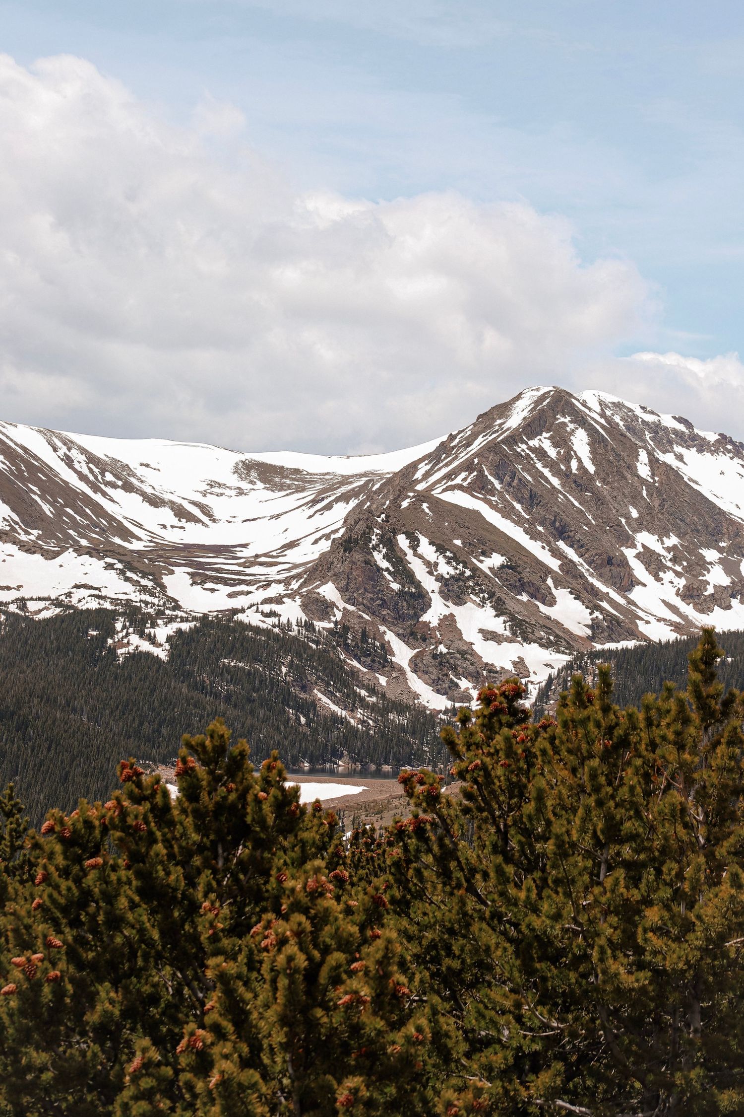 A scenic view of snow-capped mountain peaks with evergreen trees and a partly cloudy sky.
