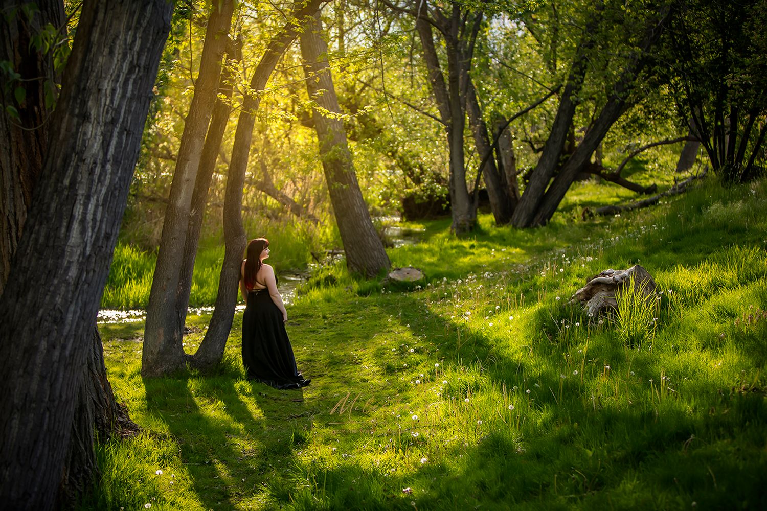 Senior photos Boise River Milestones Studios