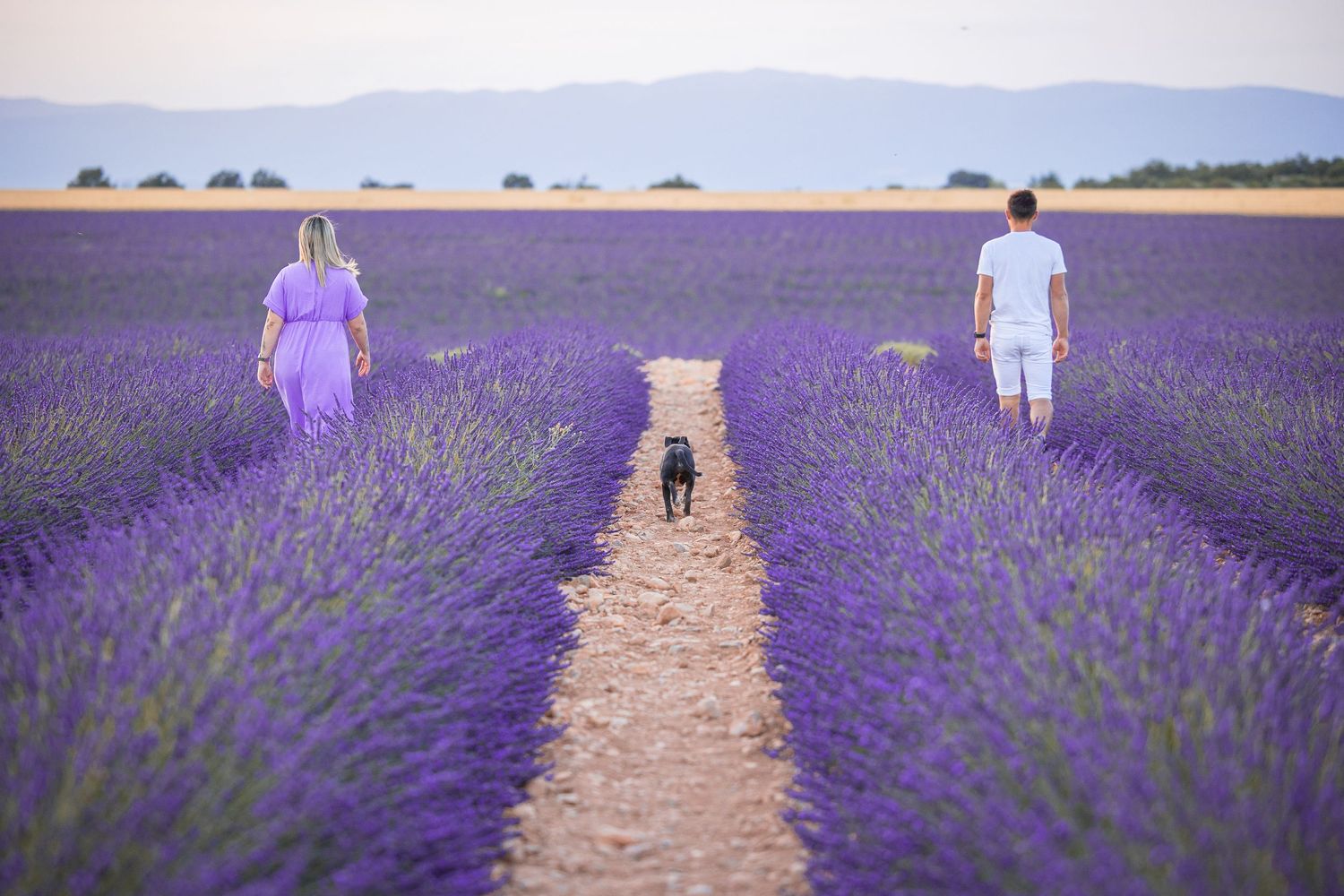 shooting couple valensole
