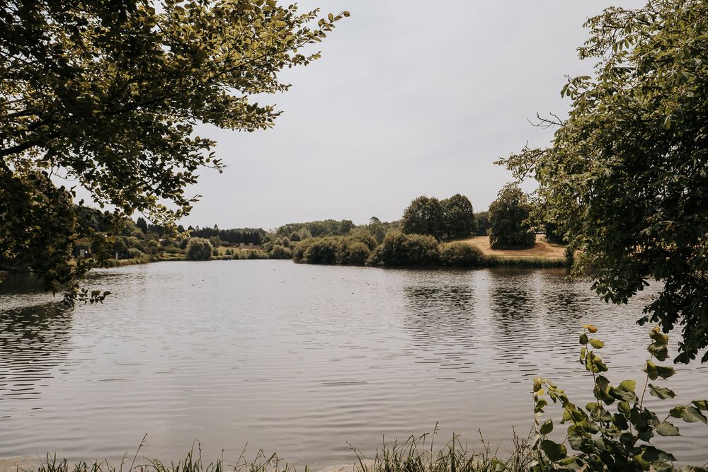 Serene lake surrounded by lush green trees and shrubs under an overcast sky in a tranquil countryside setting.