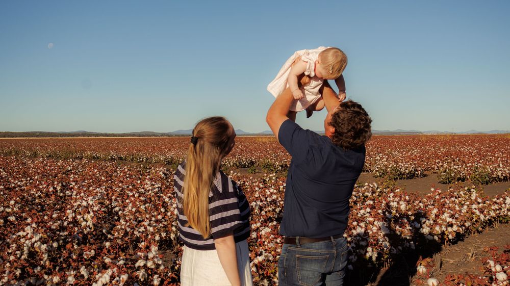 Parents lifting baby joyfully in a vibrant cotton field under blue sky.