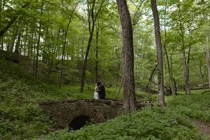 Bride and groom kissing on a stone arch bridge surrounded by vibrant green woodland trees.