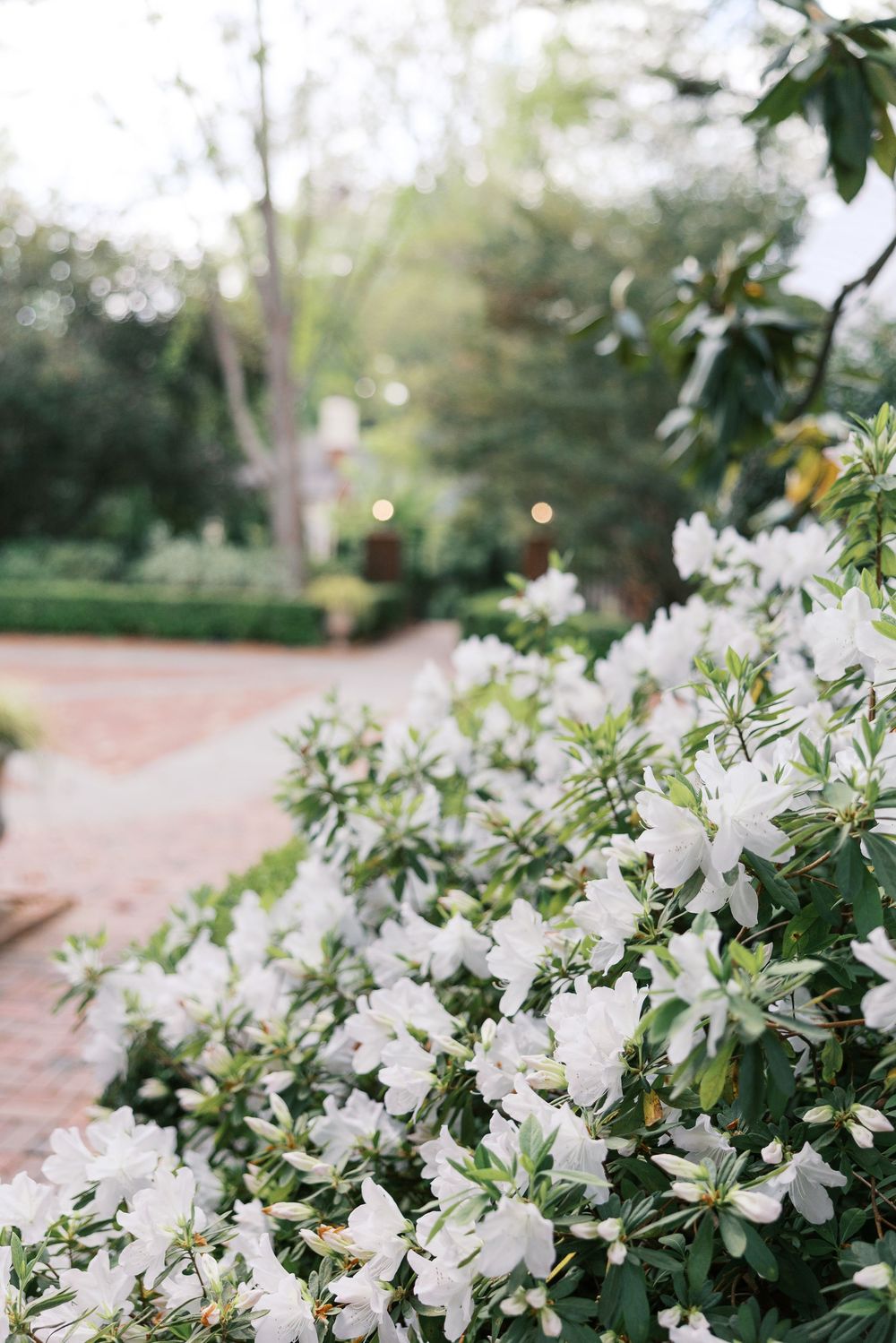 duke mansion bridal session