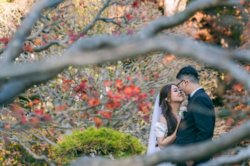Couple in wedding attire sharing a romantic moment surrounded by colorful autumn foliage and bare branches.