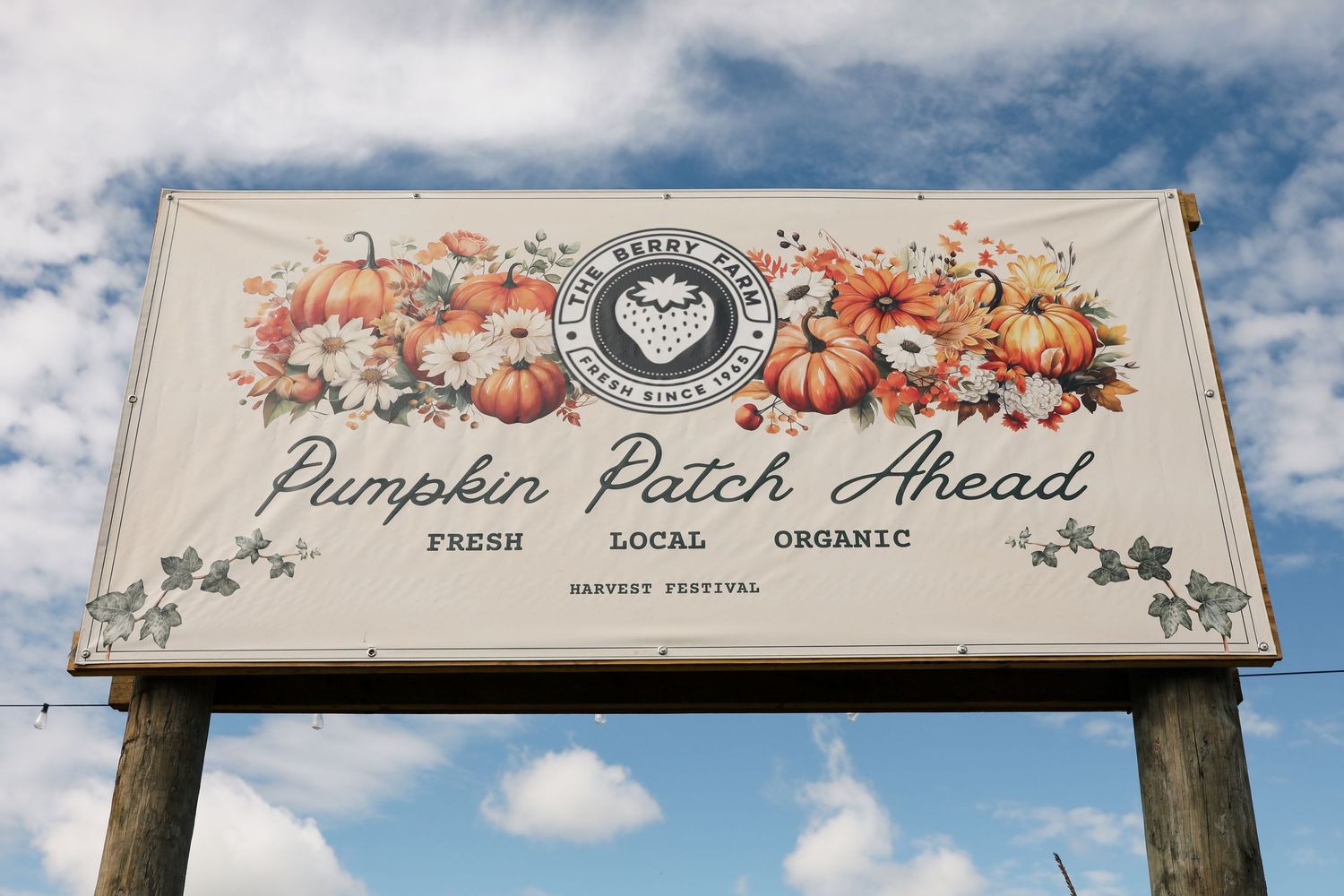 Rustic pumpkin patch ahead sign with fall florals, reading Fresh Local Organic Harvest Festival against a blue sky.