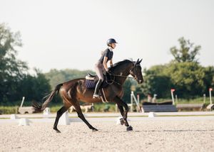 Paardenfotografie Twente - LivHoomansPhotography