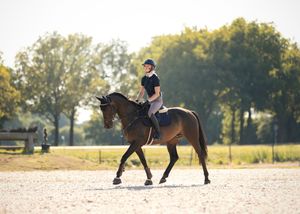 Paardenfotografie Twente - LivHoomansPhotography