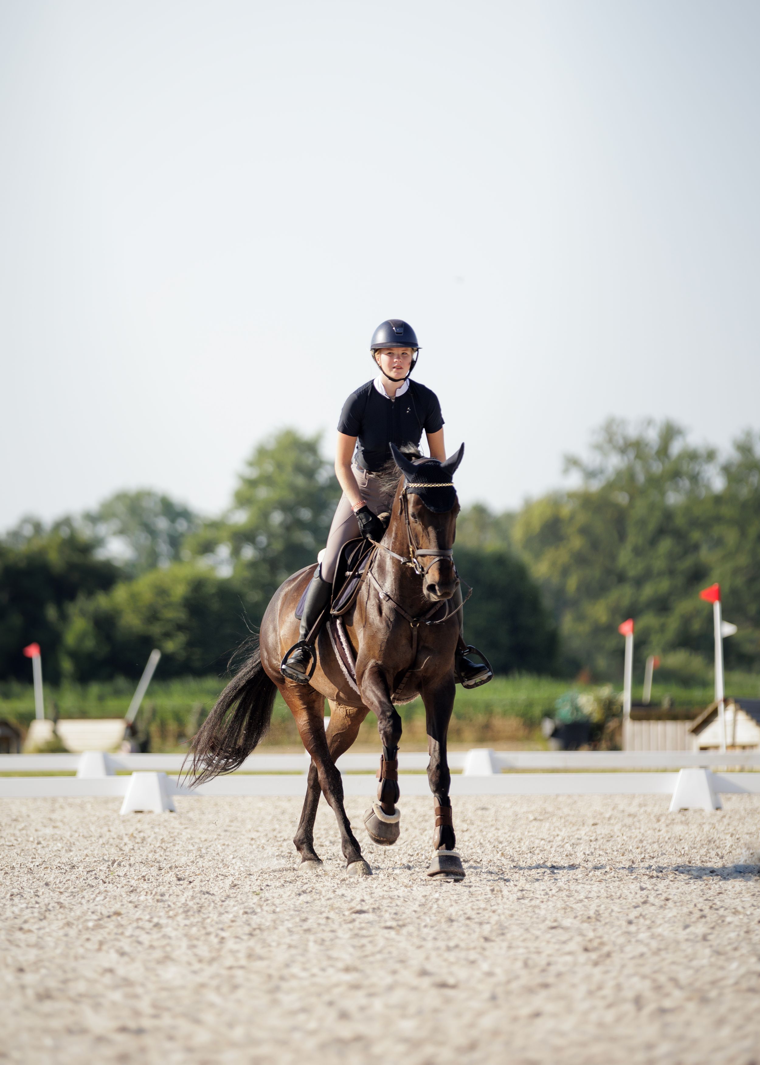 Paardenfotografie Twente - LivHoomansPhotography