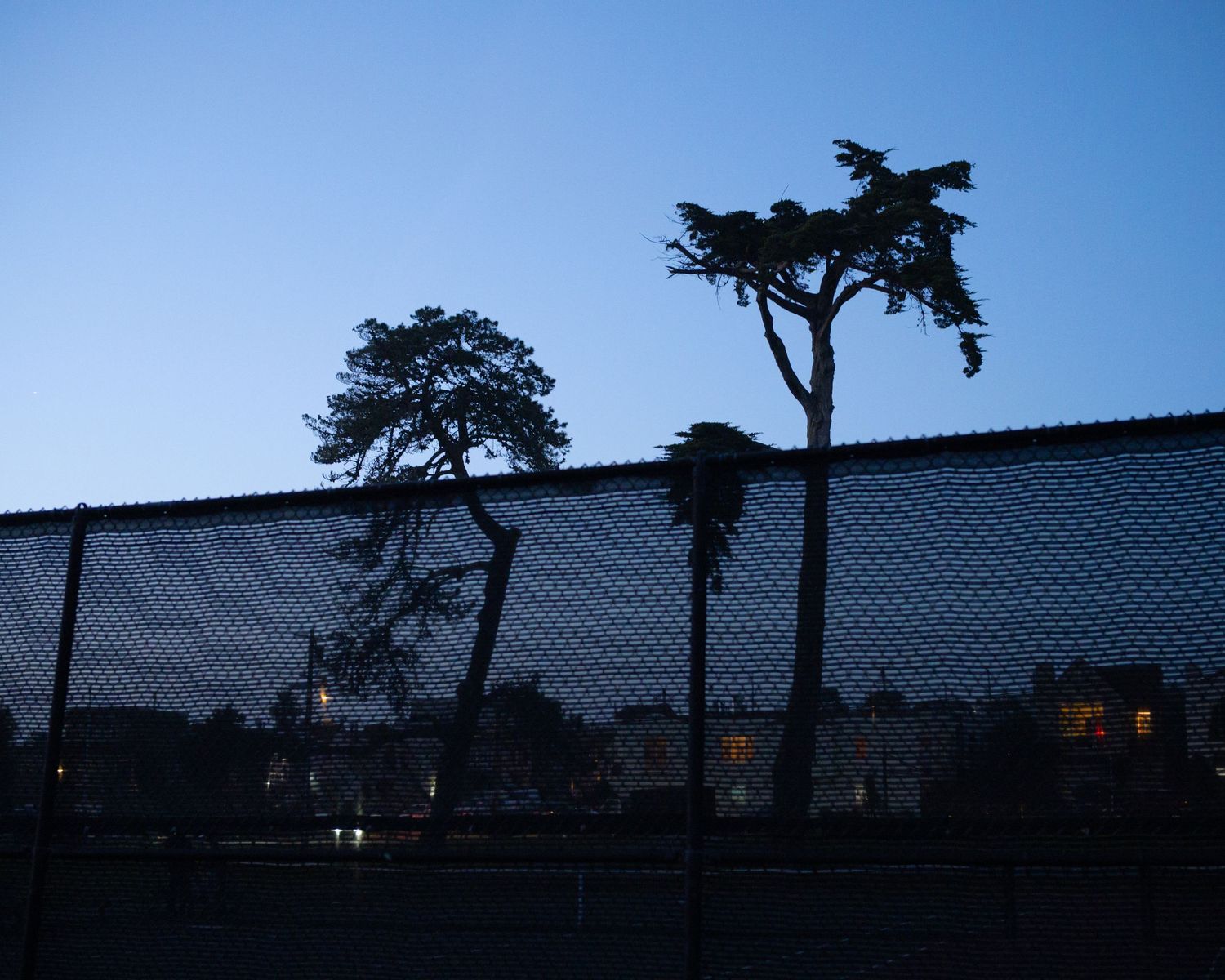 Misty San Francisco park at dusk with tall trees, green lawn, and residential buildings under overcast skies.