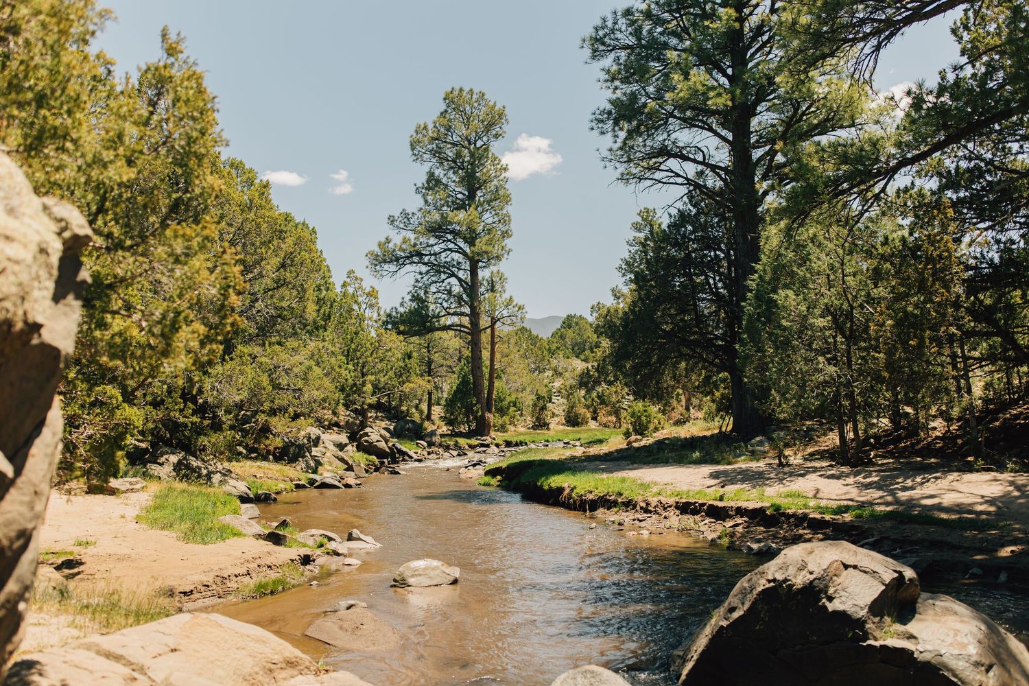 A serene mountain stream flows through a rocky landscape surrounded by tall pine trees under a clear blue sky.