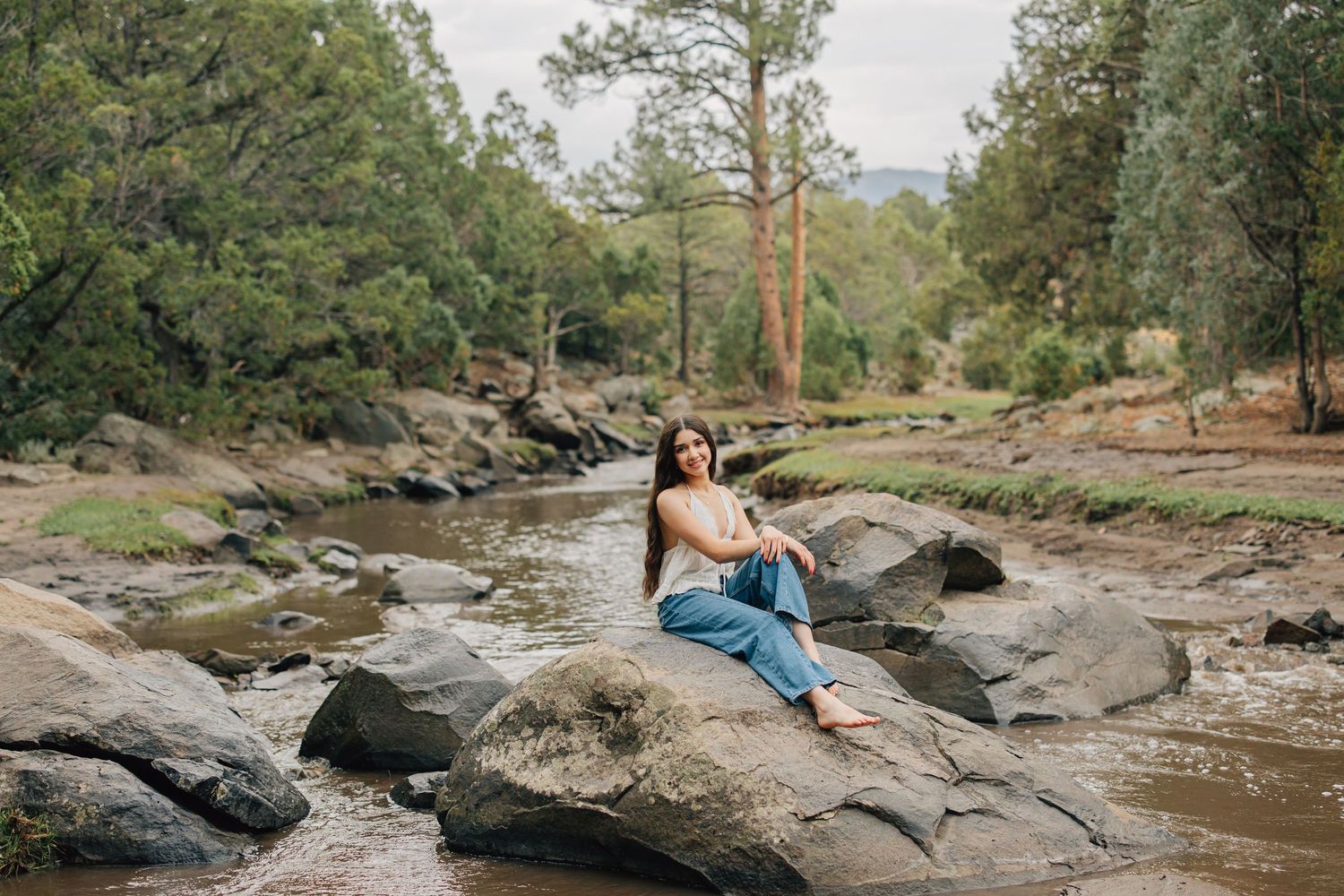 A serene mountain stream flows through a rocky landscape surrounded by tall pine trees under a clear blue sky.