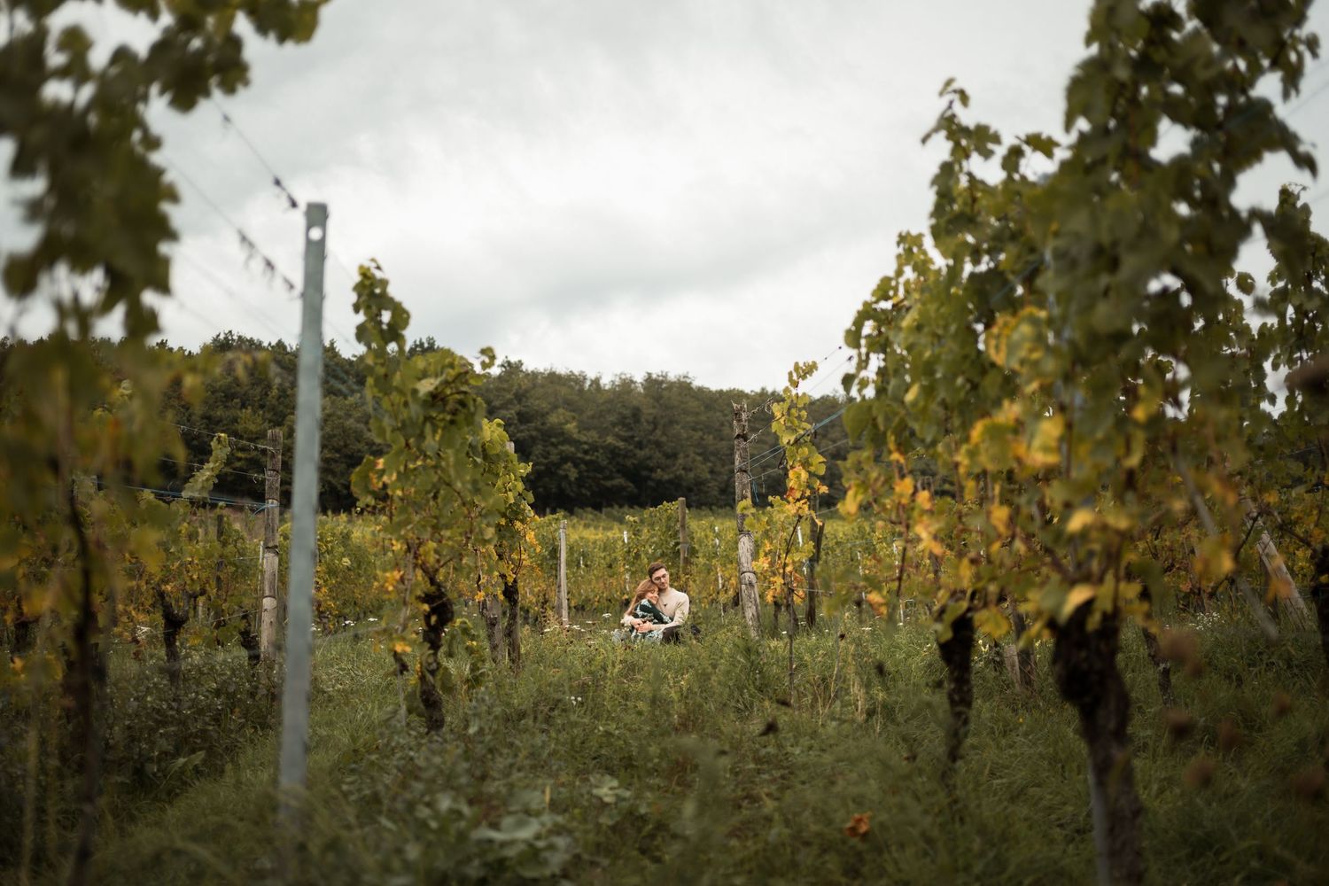 Séance photo d'engagement dans les Vignes d'Alsace