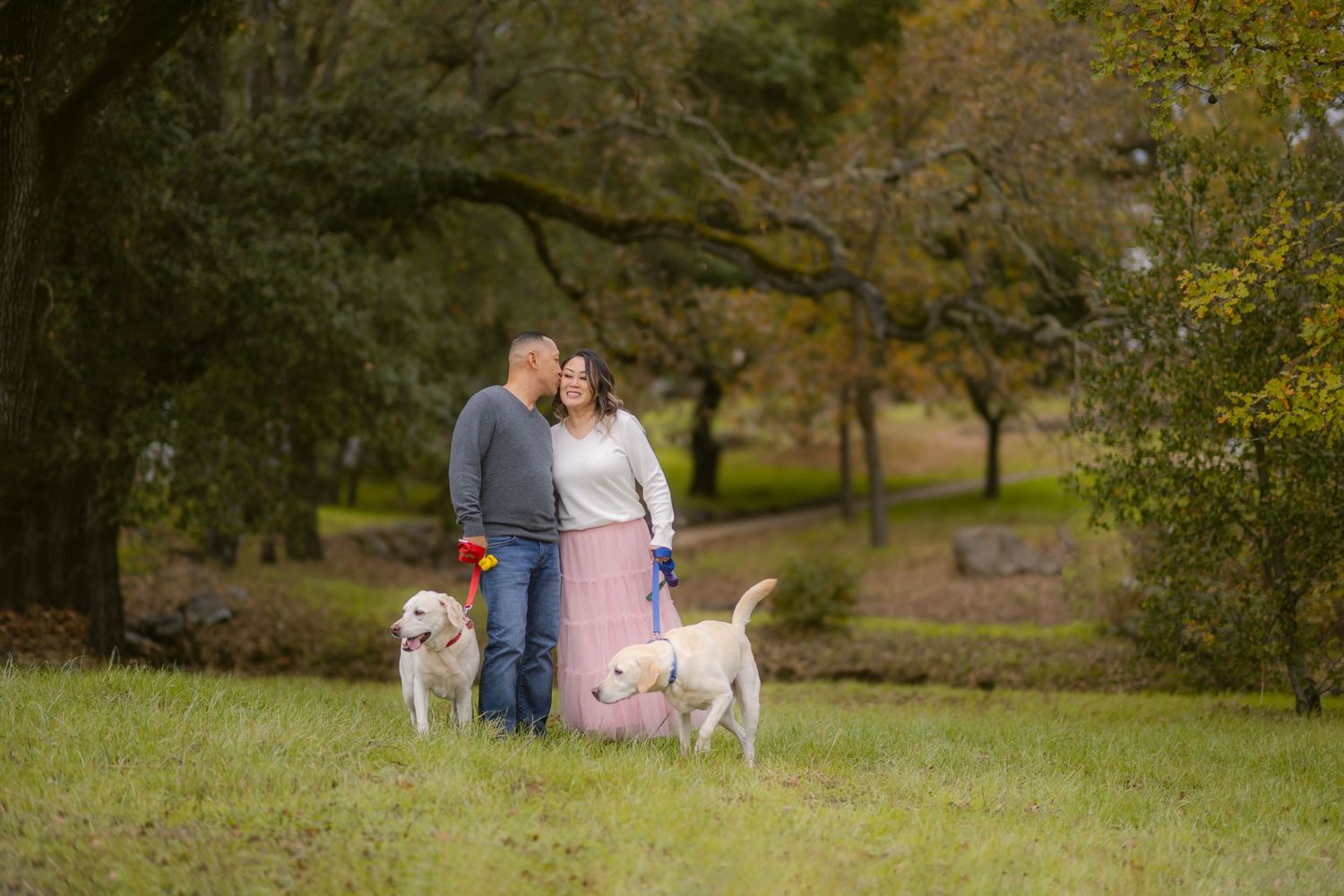 A couple walks their golden retriever and pink pig on leashes through a grassy autumn field.
