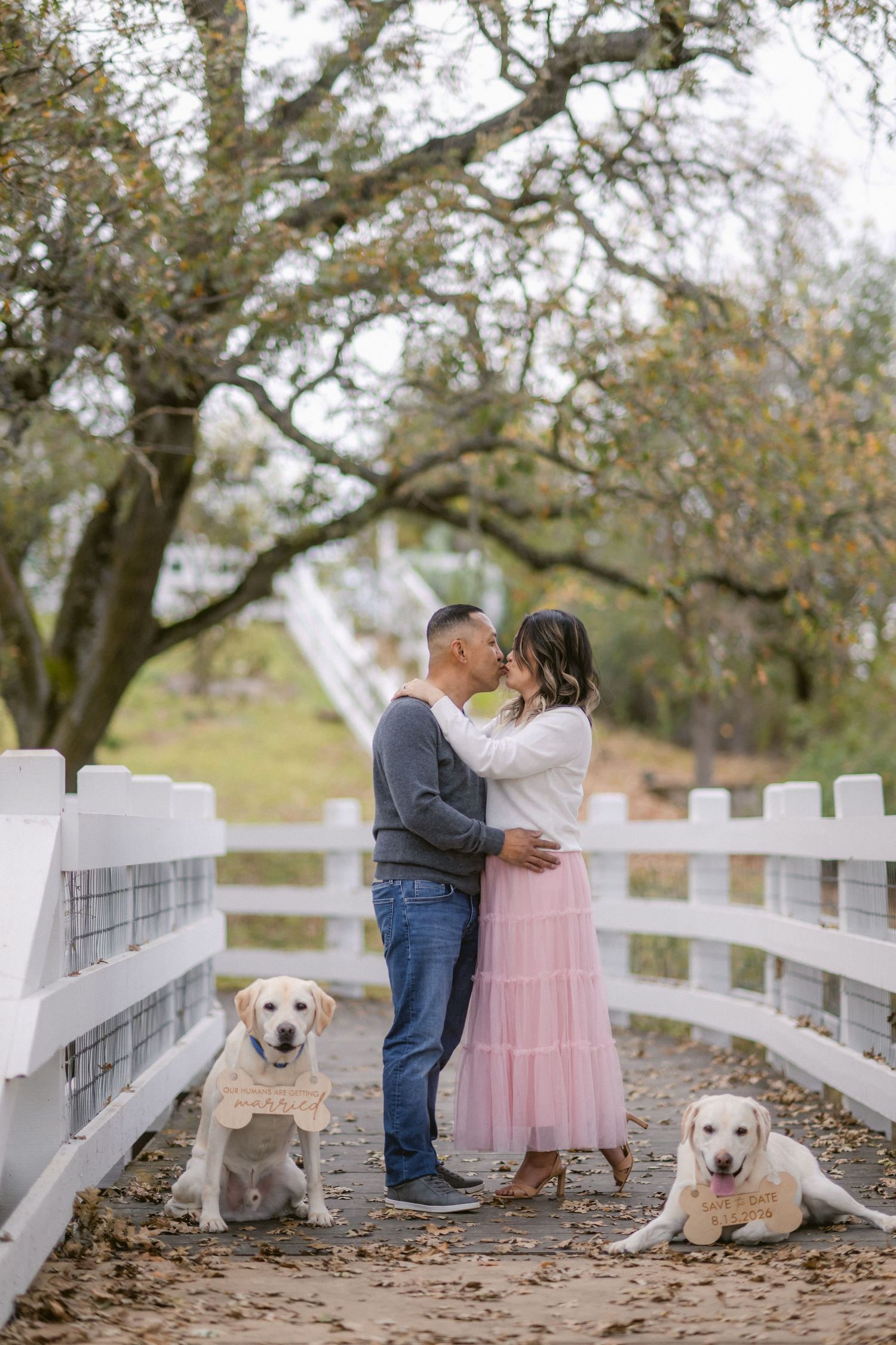 A couple shares romantic moments on a rustic path with their two golden retriever dogs by a white fence in autumn.
