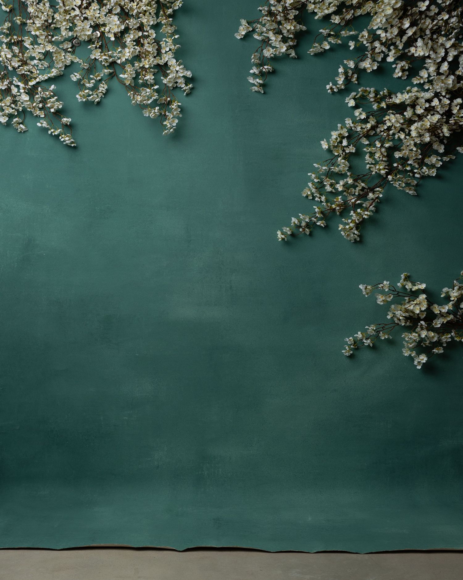 Delicate curved pattern of green eucalyptus leaves floating against a dark moody background in an artistic arrangement.