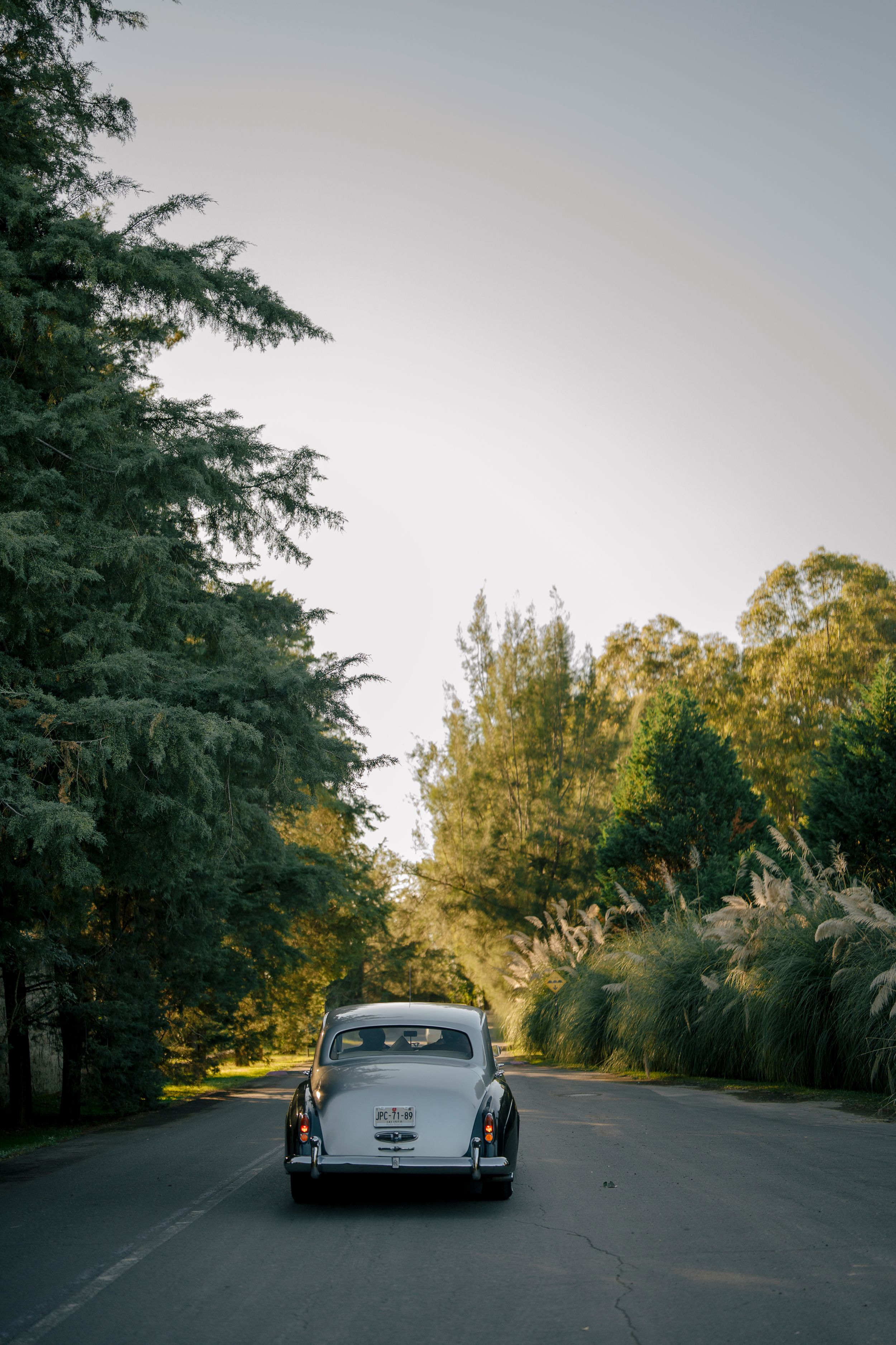 Classic vintage car parked on a tree-lined road at sunset with soft golden light filtering through the branches.