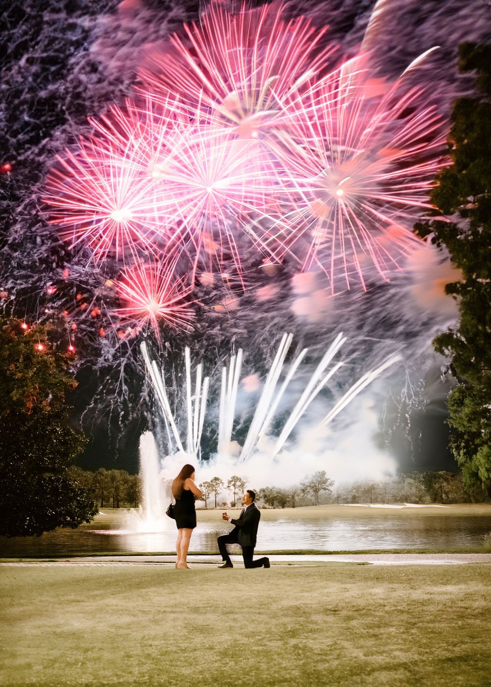Disney-inspired wedding photography in Central Florida. Firework proposal captured by LexTakePix. Magical fairytale Orlando photography.