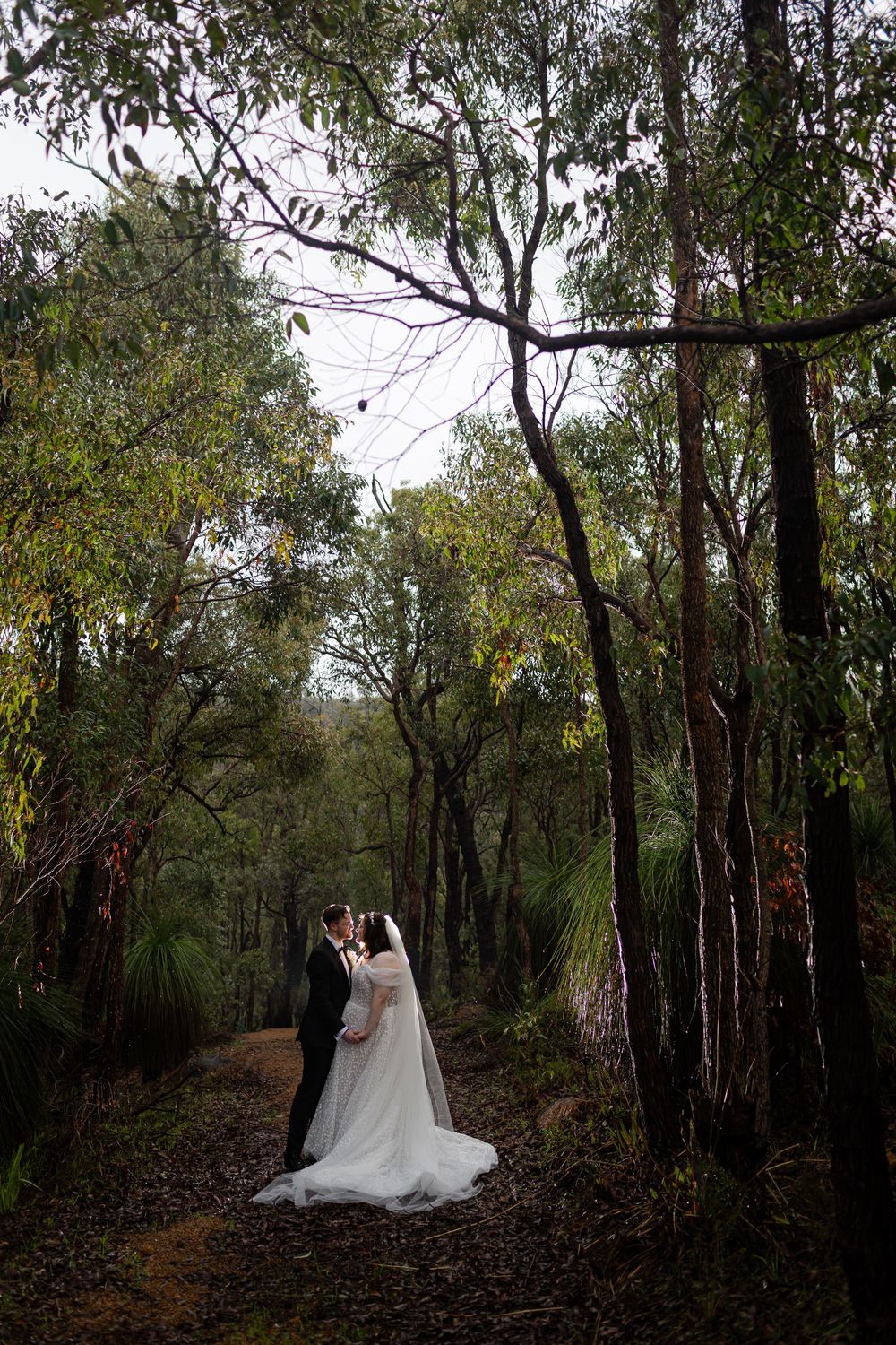 A couple in wedding attire shares an intimate moment on a wooded forest path surrounded by tall eucalyptus trees.