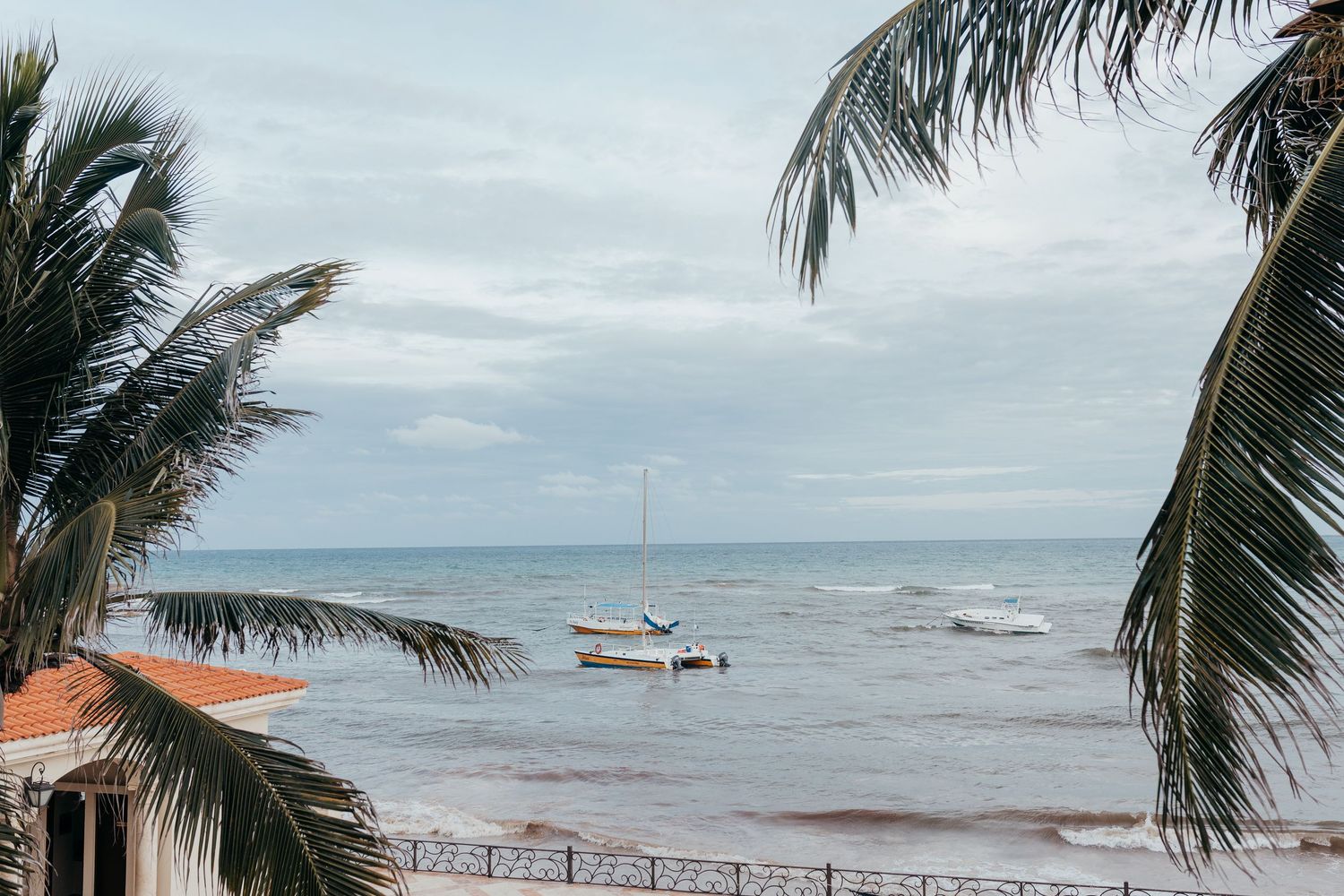 Palm trees sway in the wind along a tropical beach coastline with brown waves and cloudy skies.