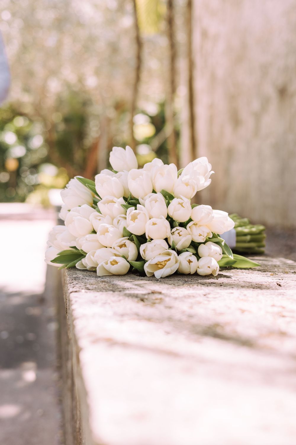 An elegant bouquet of pure white tulips arranged neatly and placed on a light stone surface in soft natural light.