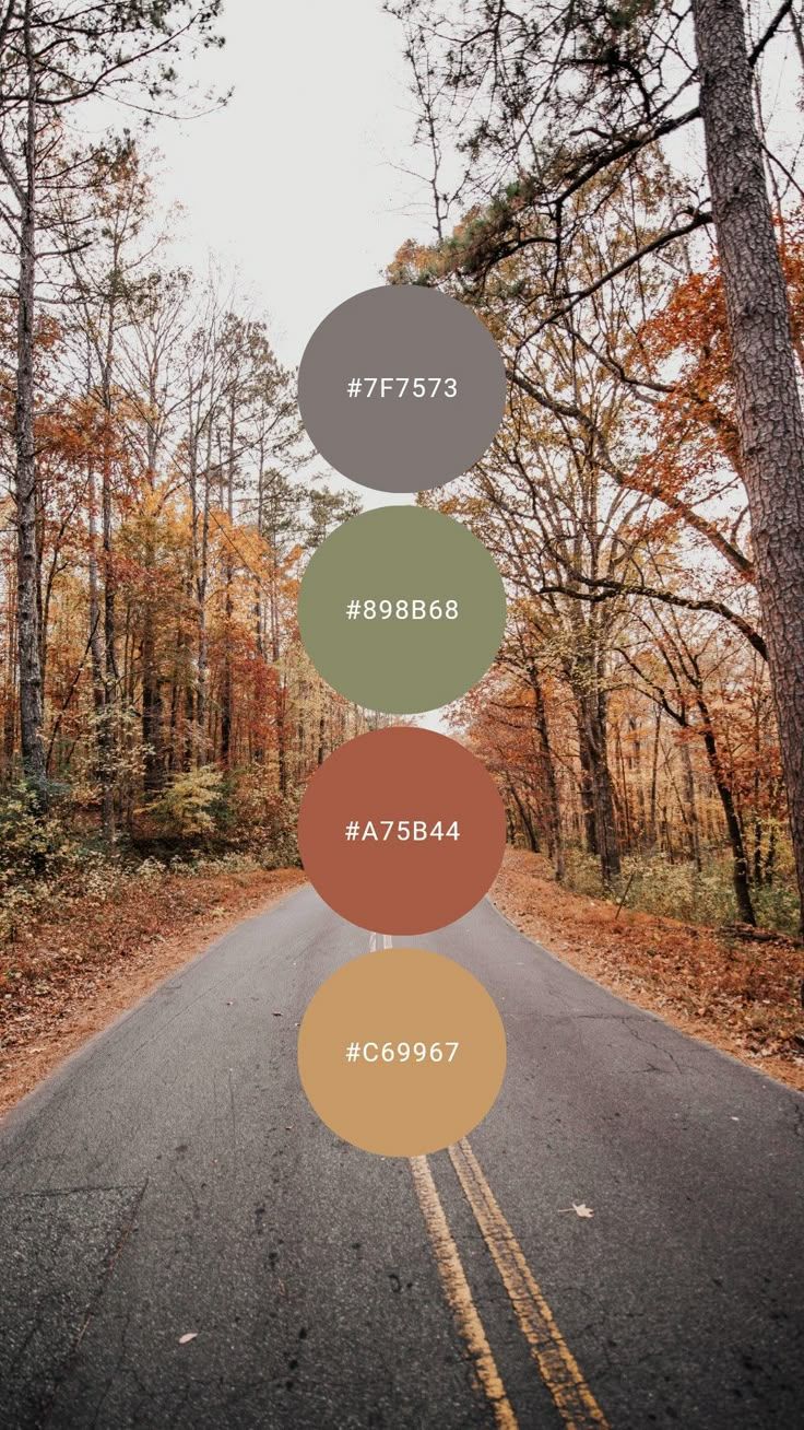 Guía visual de colores que combinan en fotografía de embarazo natural