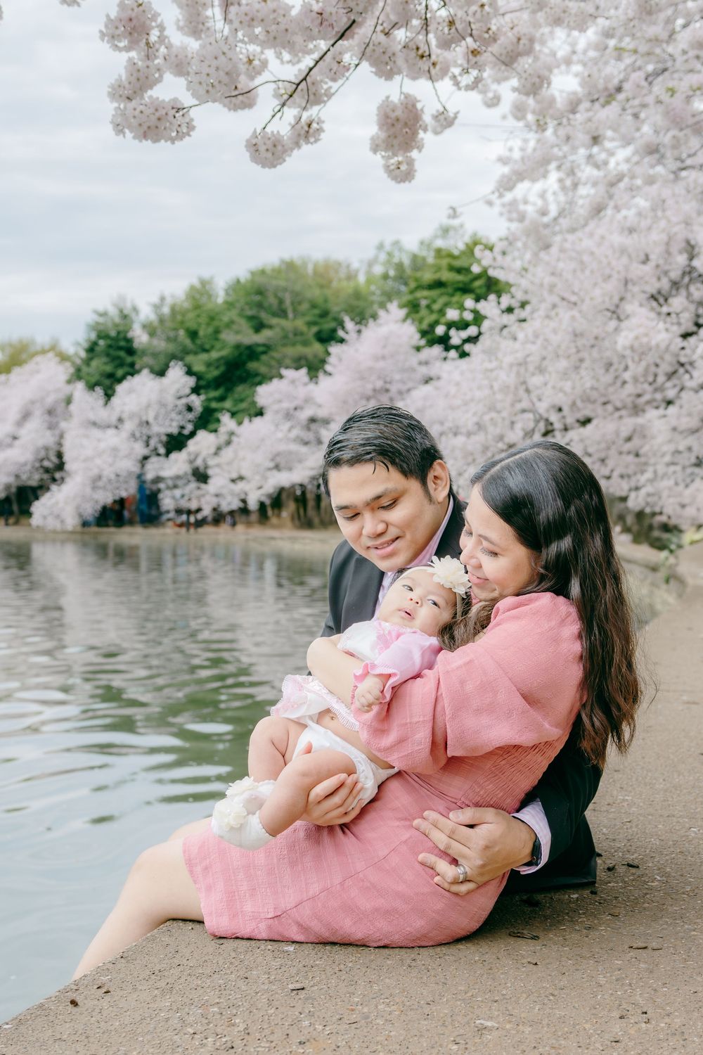 Couples walking under pink cherry blossoms along the Tidal Basin waterfront during peak bloom.