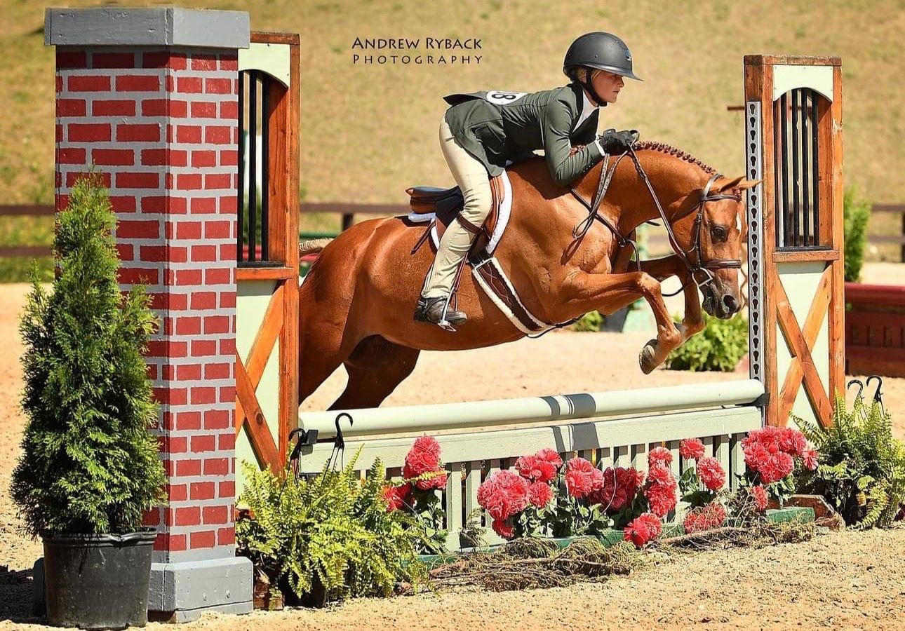 Equestrian