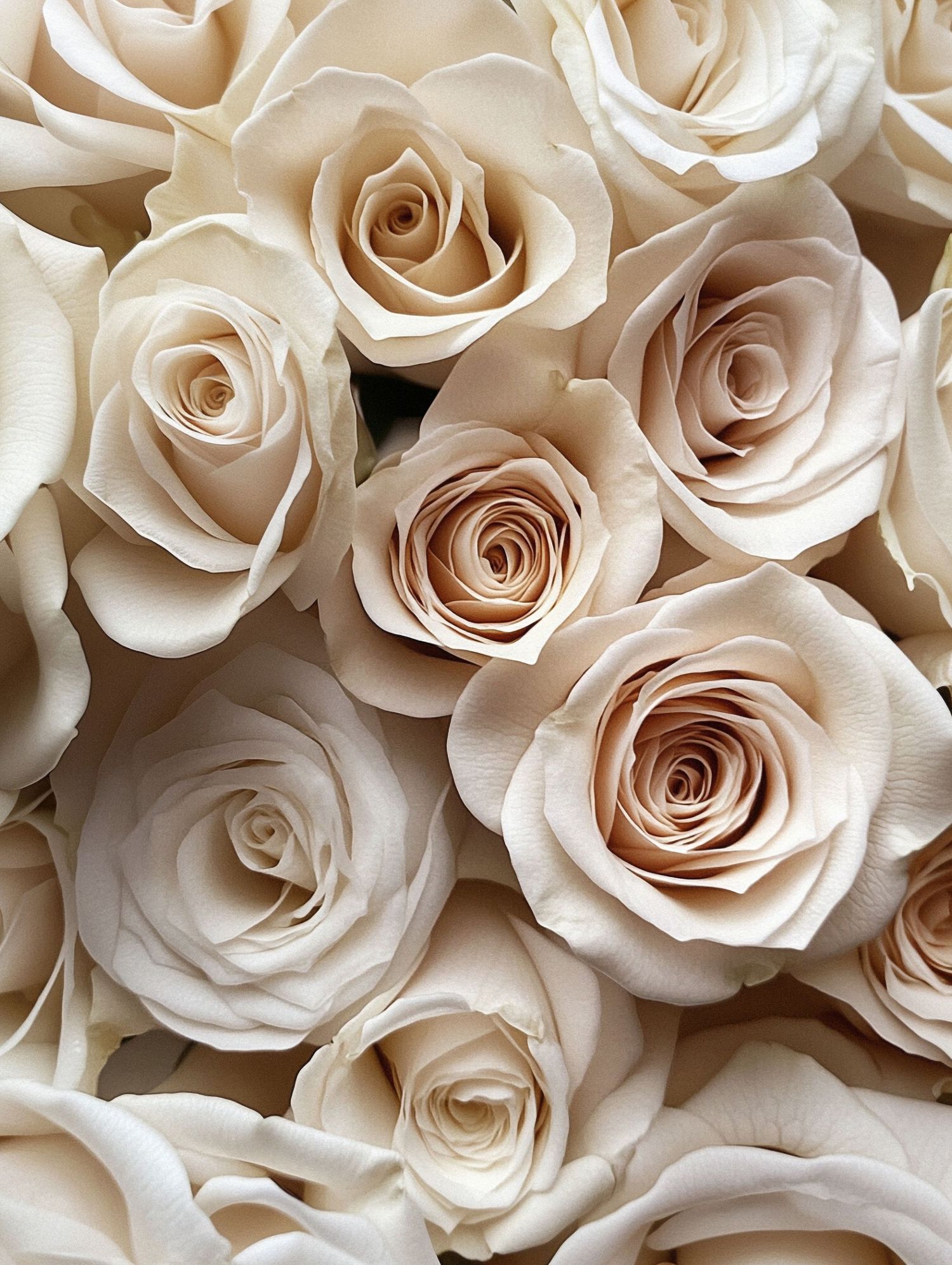 Flowing white fabric creates elegant waves and folds against a light neutral background.