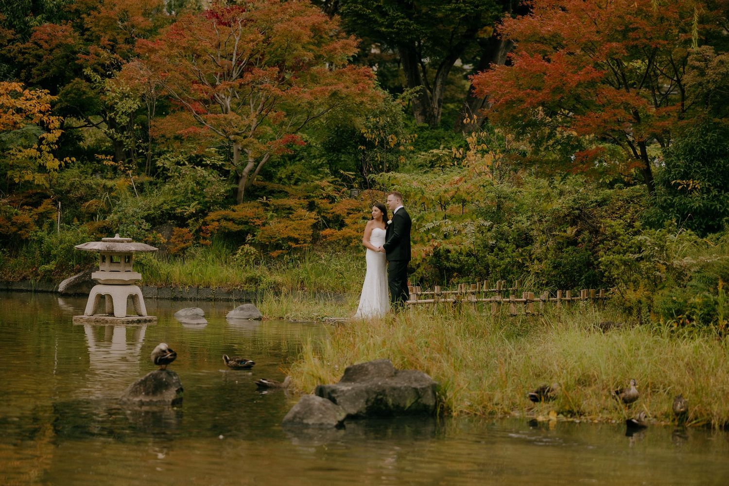 A couple stands by a tranquil Japanese garden pond with stone lantern and vibrant autumn maple trees in the background.