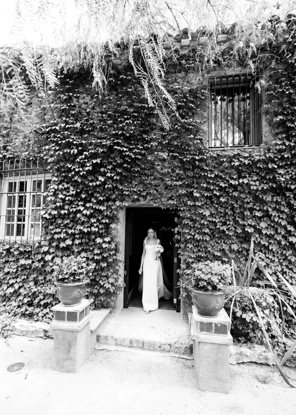 A series of black and white photographs showing a stone doorway entrance surrounded by climbing ivy and foliage.