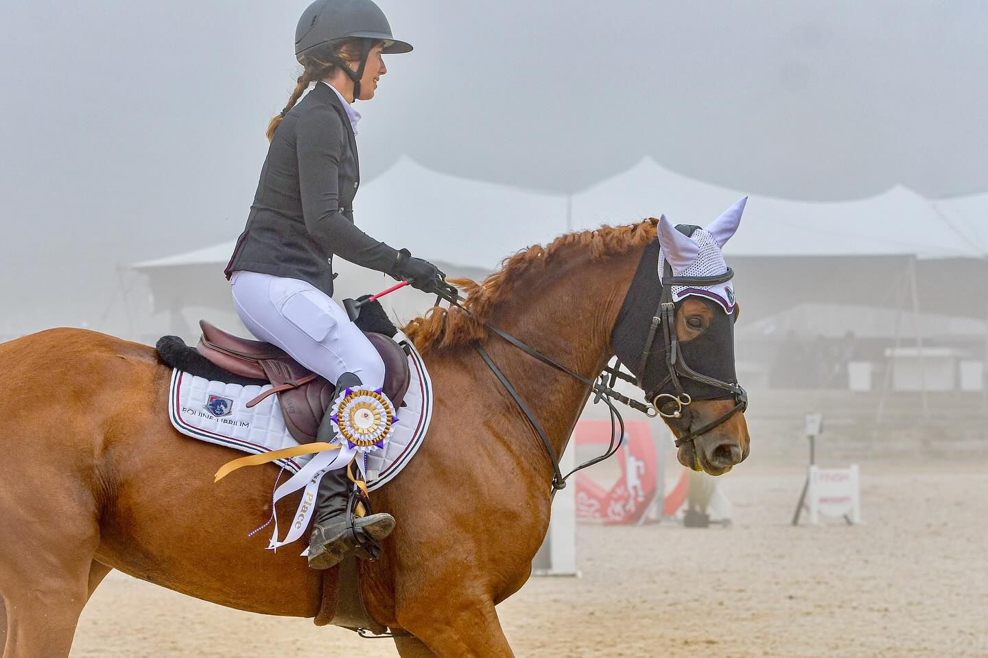 equestrian portrait photography session in the Garden Route