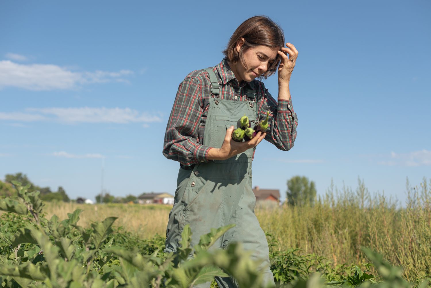 a farmer picks summer vegetables in a field with blue sky behind her in nampa idaho
