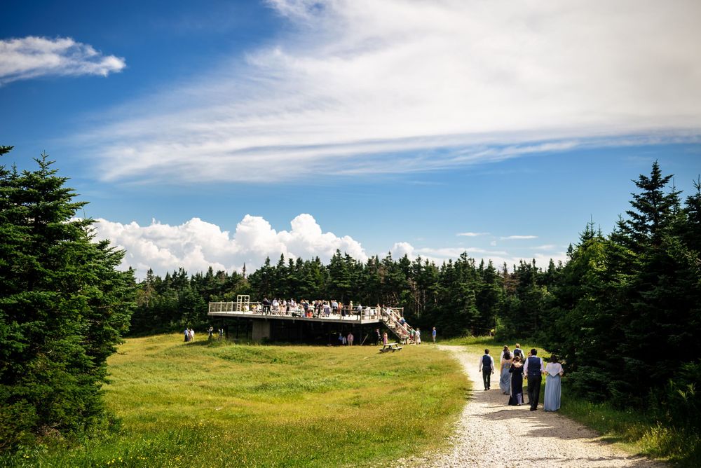 Wedding guests gather at rustic outdoor venue surrounded by pine trees under bright blue summer sky.