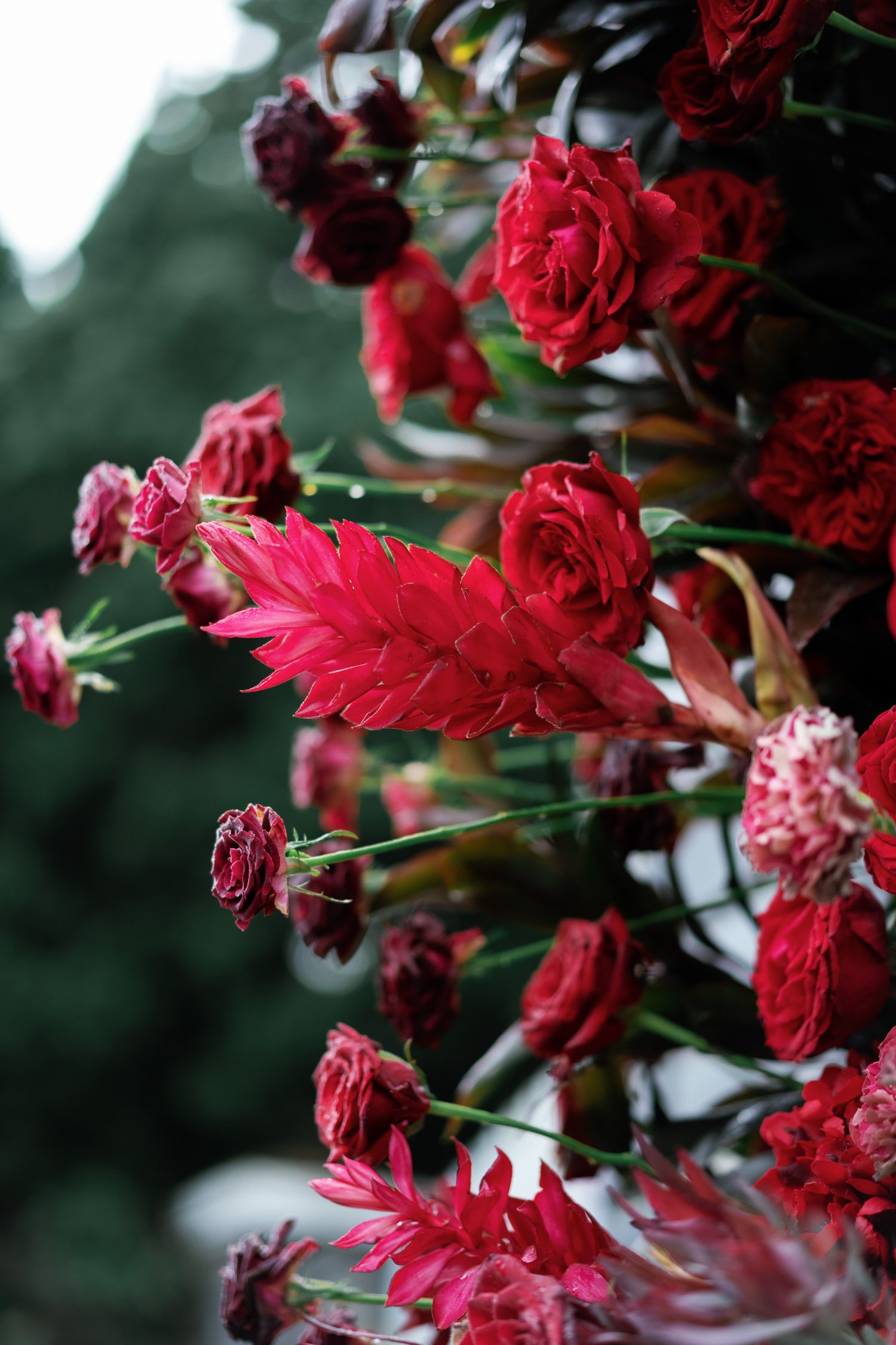 Vibrant red roses and foliage arrangement with dramatic lighting.