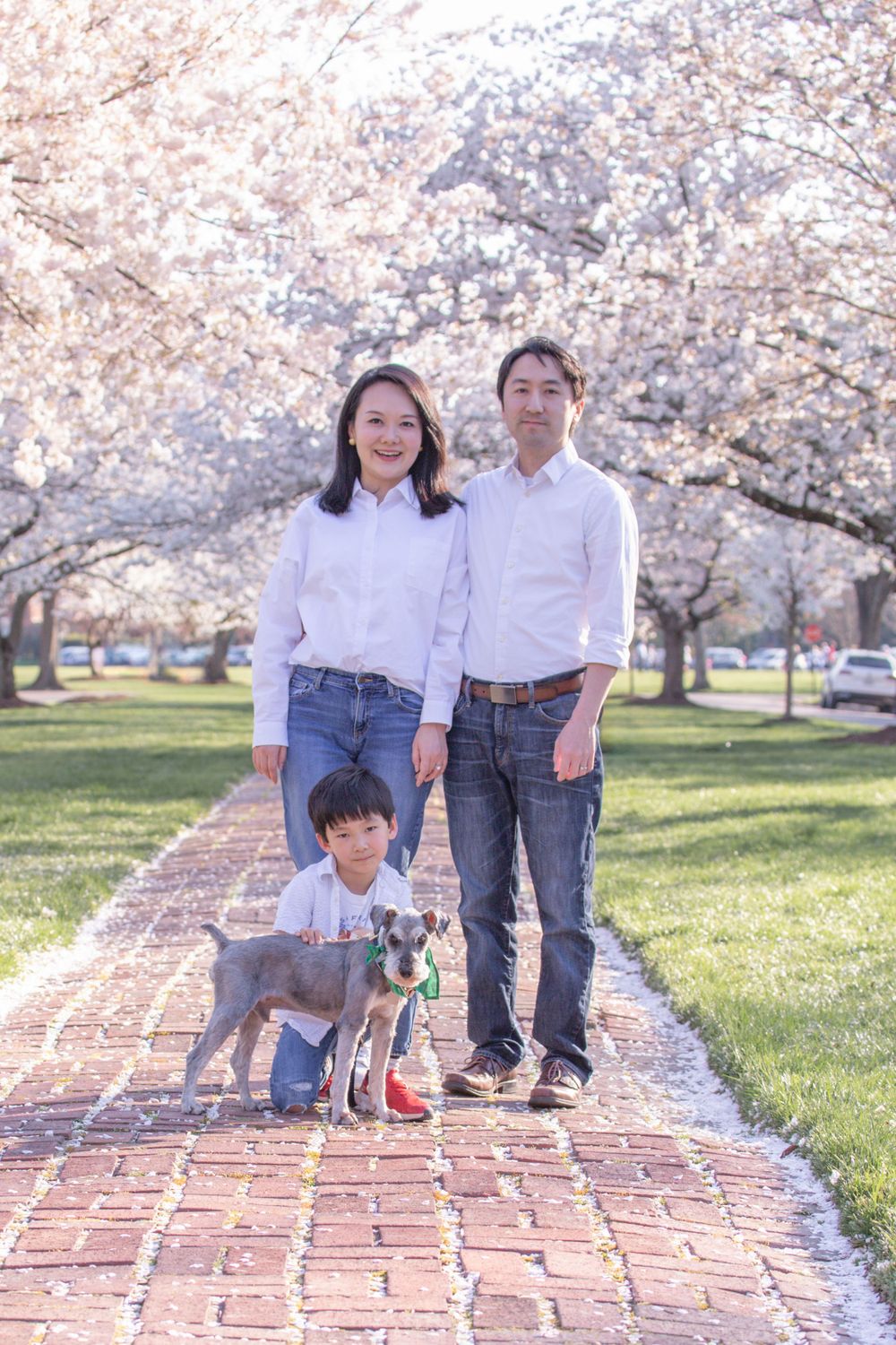 Family with small dog poses on brick pathway under blooming cherry blossoms.