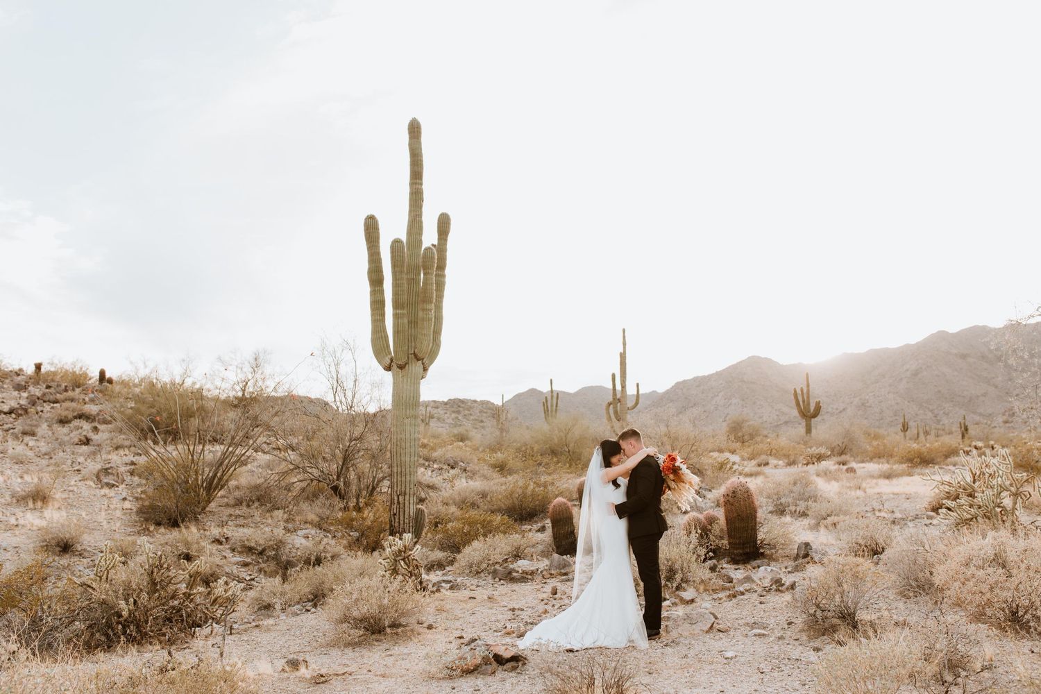 A series of desert wedding photos shows a couple posed among towering saguaro cacti in a romantic Southwestern setting.