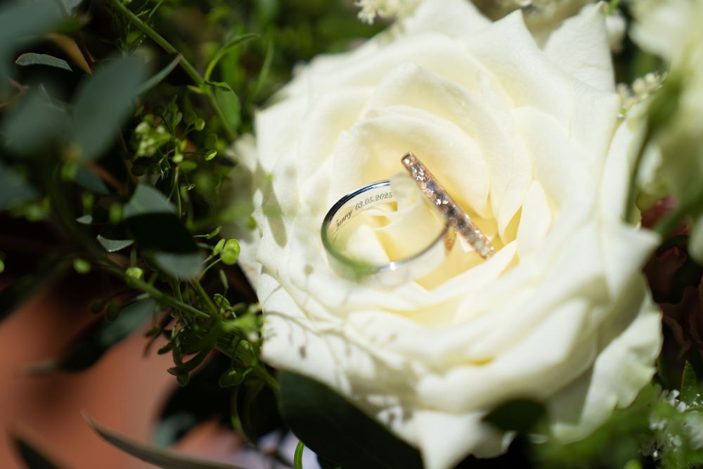 Wedding rings rest delicately on a pristine white rose bloom surrounded by green foliage.