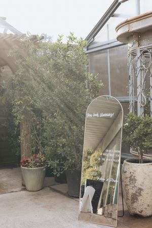 A decorative mirror leans against a wall near potted plants in a greenhouse or sunroom setting with natural lighting.