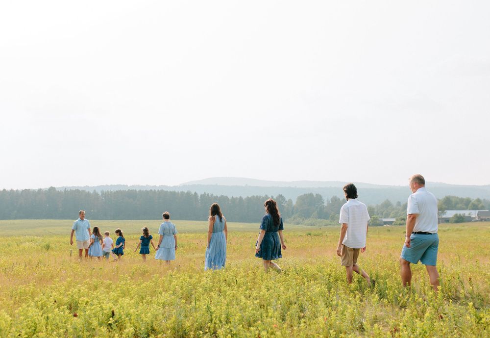 A group walks through a golden summer meadow with distant trees and misty mountains in the background.