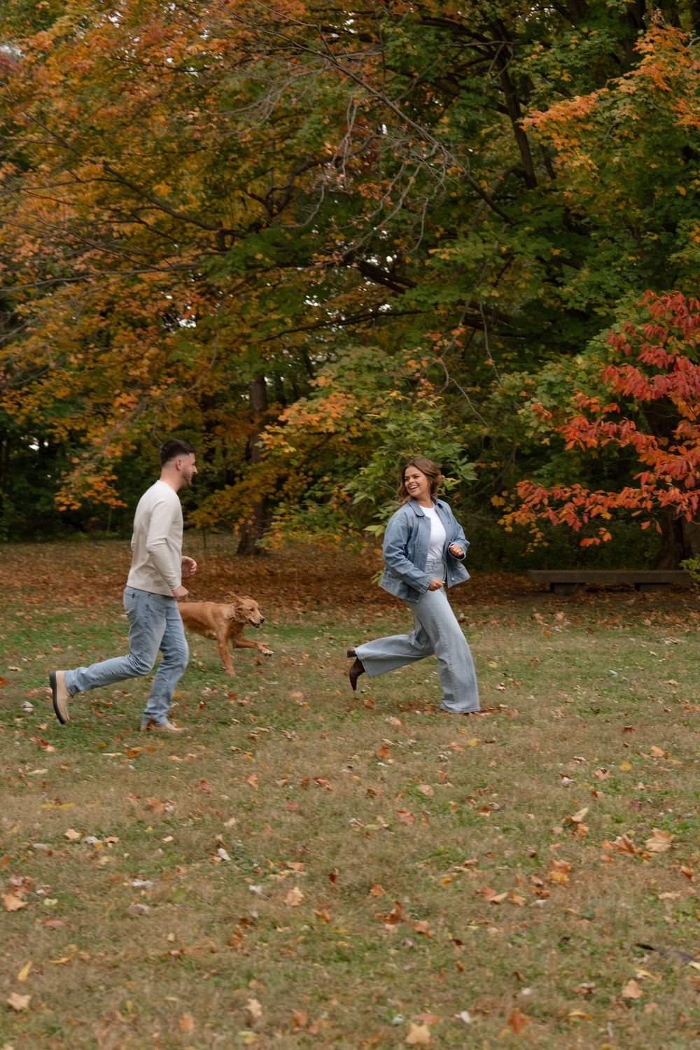 Two people play with a brown dog in a park during autumn with colorful fall foliage in the background.
