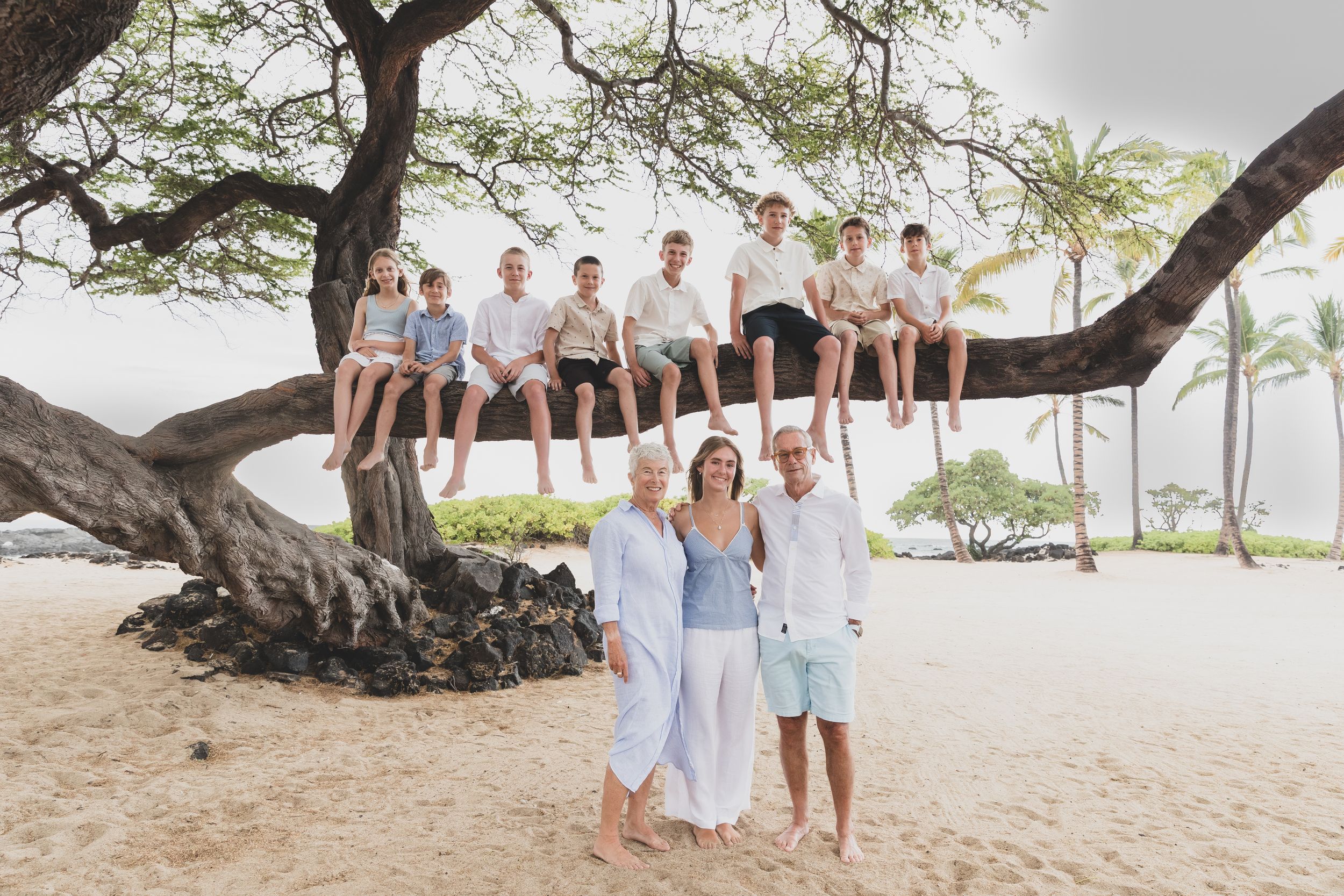 A group of people sitting in a row on a large tree branch over a sunny beach landscape.