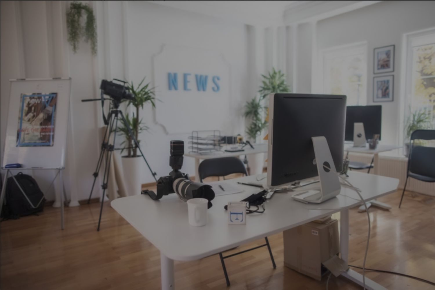 Modern home office space with white walls, hardwood floors, and houseplants showcased in a series of connected images.