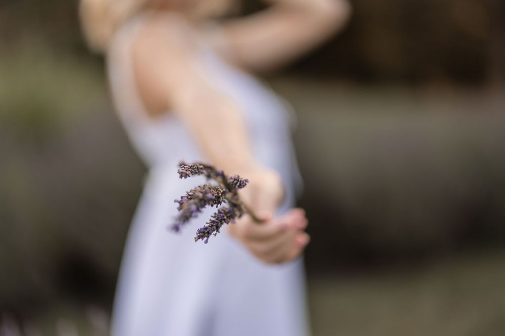 A person in white clothing holds out dried lavender flowers against a blurred nature background.